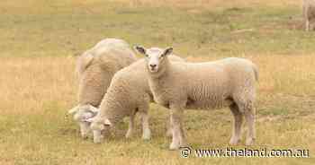 Clock is ticking on eID reforms