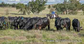 Secluded property with income potential and lifestyle | Video