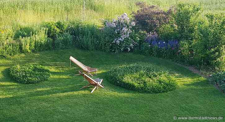 Rasenpflege mal anders: Frisieren Sie Ihre Grünflächen – Biodiversität durch einen teilweisen Mähverzicht fördern