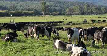 Rabobank forecasts $8.50-$9/kg new season milk price, despite global price pressure