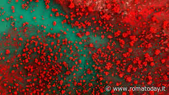 World Press Photo 2023