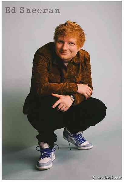 Ed Sheeran – success, money, loss and stress