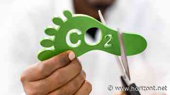 Digitalwerbung: Wie Axel Springer CO2-Emissionen als Vermarktungsargument nutzt