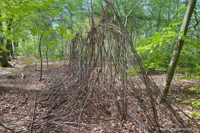 Vandalen verstoren verjaardagsfeestje van het Gravinnekespad