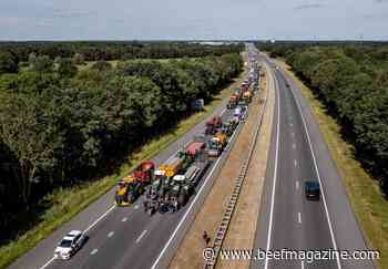 EU approves Dutch plan to buy out livestock producers