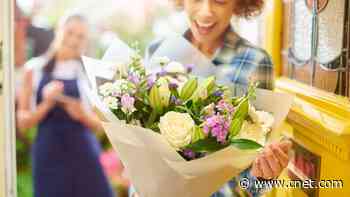 The 9 Best Flower Delivery Services, Tested and Reviewed     - CNET