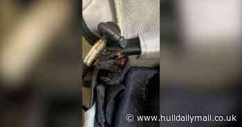 Man returning from holiday in Mexico finds tarantula in his suitcase