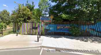 Cat's head found in Homerton Grove Adventure Playground