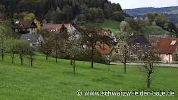 Gemeinderat Wildberg: Bleibt das Gerätehaus unter drei Millionen Euro?
