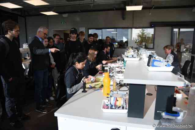 Laatstejaarsstudenten brengen bezoek aan twaalf plaatselijke bedrijven op Jobdreamday