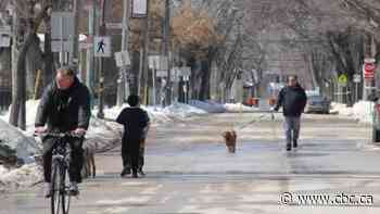 Reduced speed limits come into effect for 5 Winnipeg seasonal bike routes