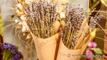 Vintage market, 200 espositori nell' ex deposito Atac