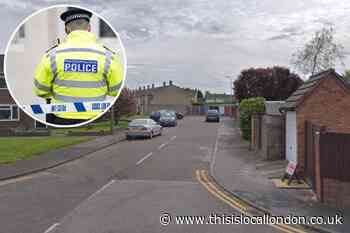 Elm Park, Cowdray Way: Met Police appeal after woman's death