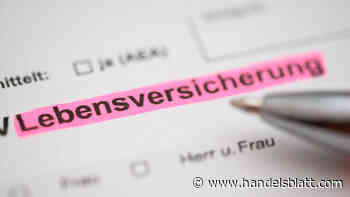 Lebensversicherung: Viridium will künftig auch kleinere Lebensversicherungsbestände übernehmen