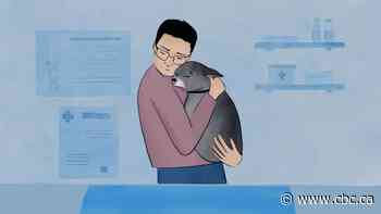 Euthanizing my dog showed me I could rescue her one more time