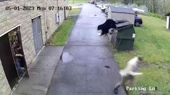 Bear gives West Virginia principal a roaring wake-up call