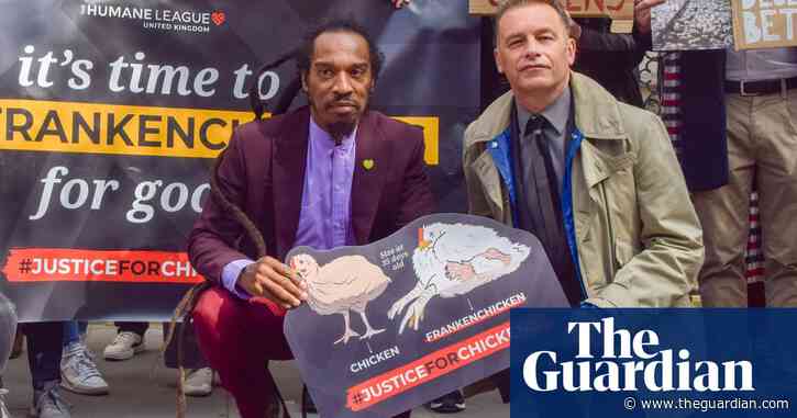 ‘Frankenchicken’ farming in England against animal welfare law, high court told