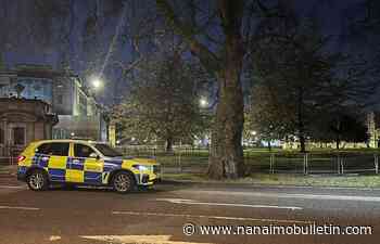 Man arrested outside Buckingham Palace with suspected weapon