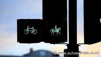 What is a Pegasus crossing?