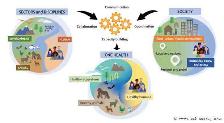 WHO/’One Health’: The Global Takeover Of Everything