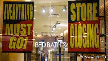 New Canadian retail chain set to launch from ashes of former Bed Bath & Beyond locations