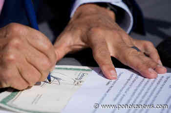 Central Alberta mayors unite to lobby provincial government for changes in health care