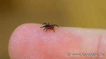 Zecken-Risikogebiete 2021: Das sind die FSME-Risikogebiete in Deutschland und Europa