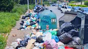 Roma invasa dai rifiuti, cittadini esasperati. E le opposizioni attaccano Alfonsi