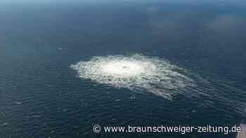 Sprengung von Nord-Stream: Ex-Agent erhärtet Verdacht