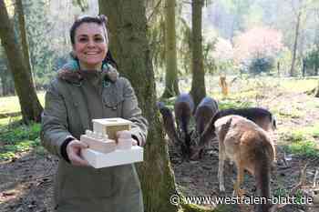 In Lübbecke soll freie Waldgrundschule entstehen