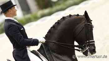 Millionen wert: Aktuelle TV-Doku über Dressur-Hengst Totilas berührt Zuschauer