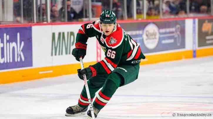 Mooseheads player favours a swig of mustard on the bench to ward off leg cramps