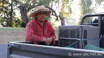 As insurance premiums rise, Queenslanders say they're paying the price of a youth crime crisis