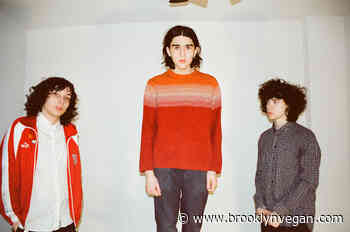 Lifeguard prep 1st release for Matador, share "17-18 Lovesong"