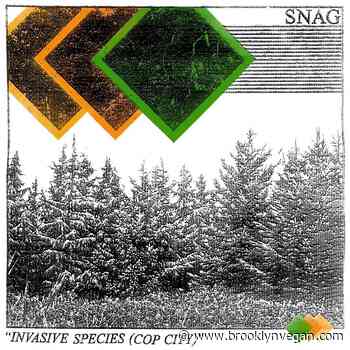 Stream Snag's intense new screamo song, "Invasive Species (Cop City)"