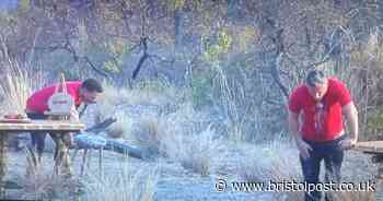 I'm A Celebrity South Africa fans 'gagging' over hilarious drinking trial