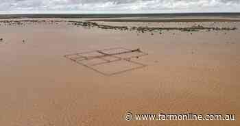 Wetter than usual wet season bookended by cyclones