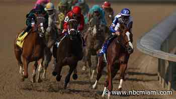 Is Betting on Horses Legal in Florida? Here's What to Know Ahead of the Kentucky Derby