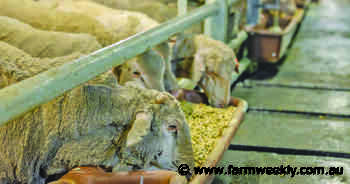 Saudi market to make a welcome return