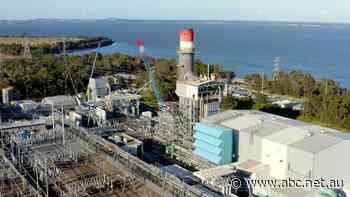 Switch from natural gas in the pipeline as Illawarra hydrogen plant opening looms