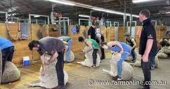 Advisory group pushes to get more foreign workers into wool sheds