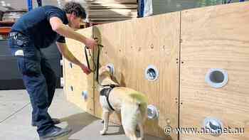 Farmers say taxpayers, importers should pay for cost of keeping pests and disease out