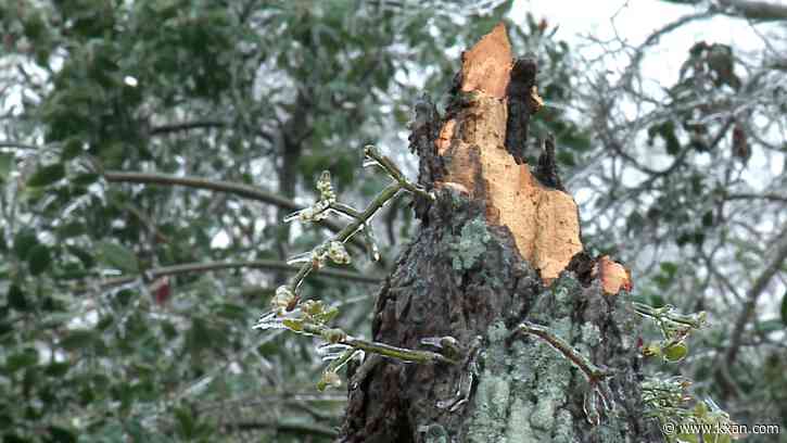 Texas counties spend millions on ice-storm recovery, when will they be reimbursed?