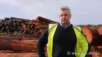 Another WA sawmill to close, months ahead of next year's native logging ban