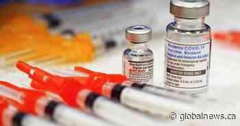 Hamilton set to pause mandatory COVID-19 vaccination policy for employees