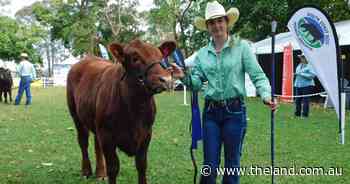 'I'm shocked, I've never made it this far', Narooma students named champion parader