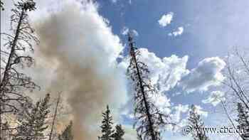 Parks Canada working to contain 'out of control' fire near Banff, Alta.