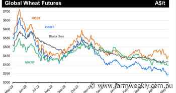 A lower wheat price outlook may eventuate with rains in key overseas countries