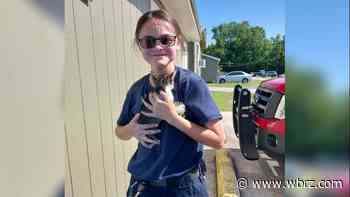 Ascension Parish firefighter saves kitten stuck in vehicle engine