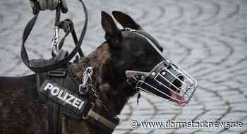 Bensheim: Polizei bei Bensheimer Sicherheitstag